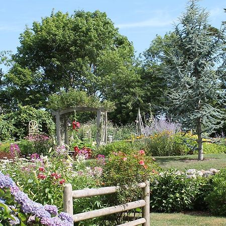 Lavender Bay Bed & Breakfast Barnstable Exterior foto