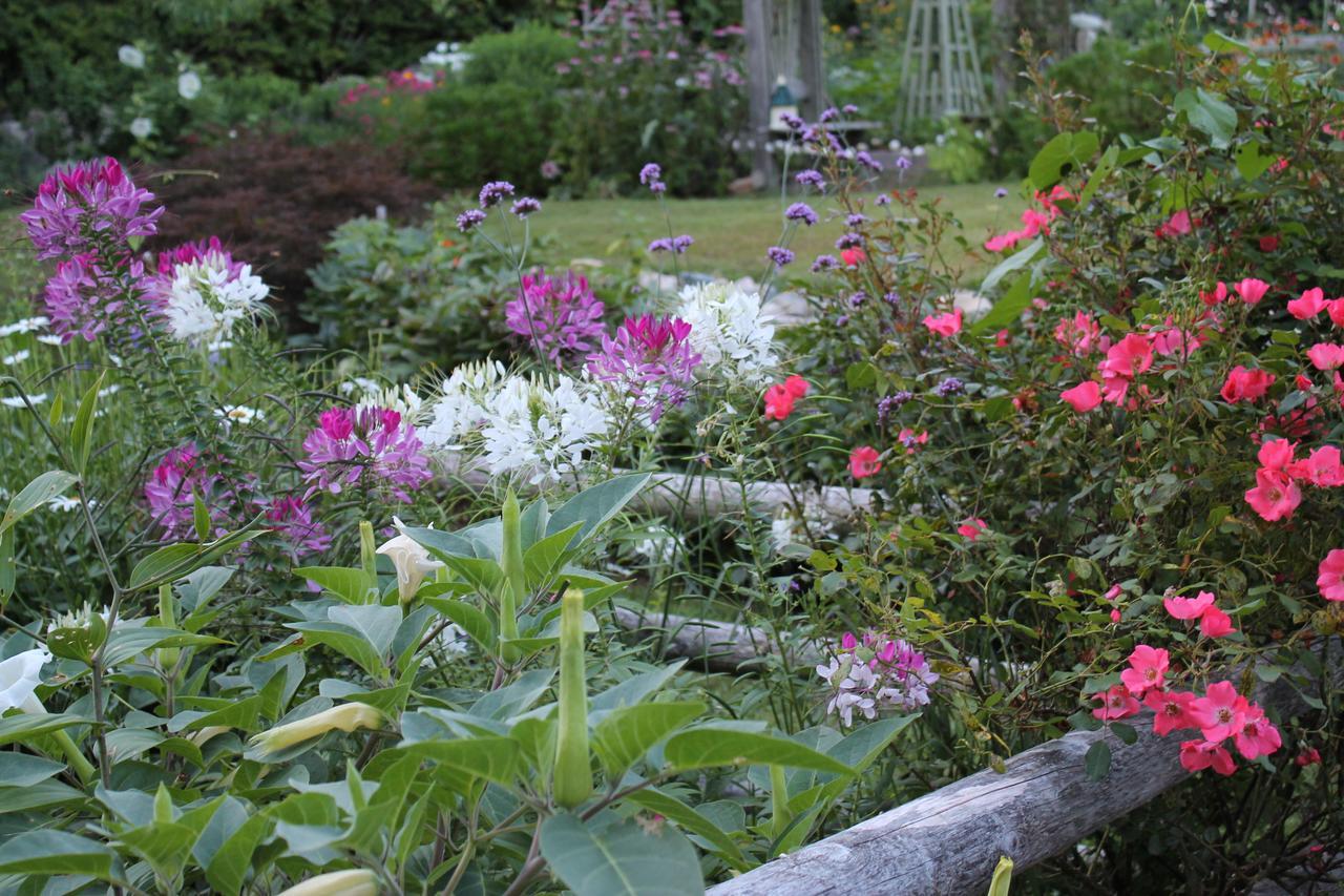Lavender Bay Bed & Breakfast Barnstable Exterior foto