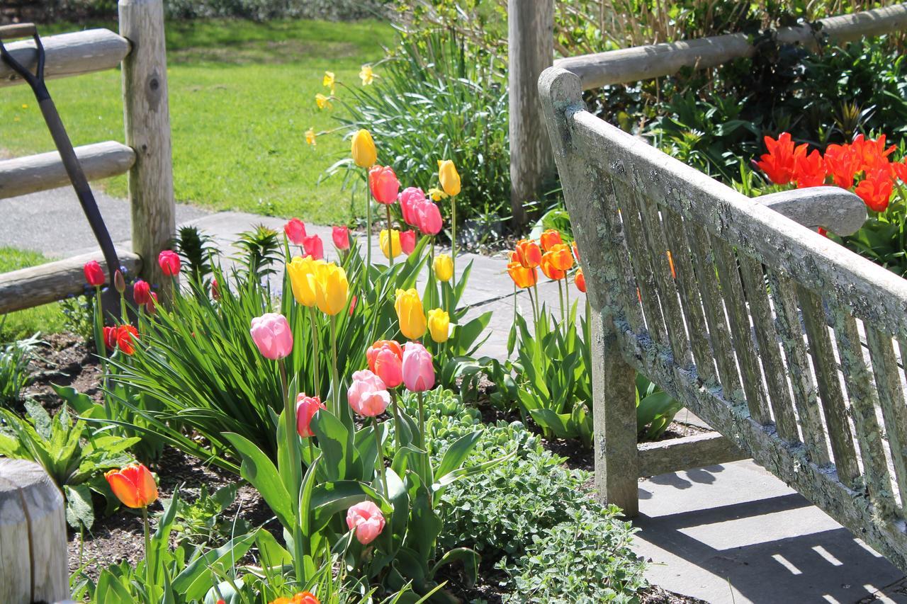 Lavender Bay Bed & Breakfast Barnstable Exterior foto